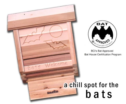 Baldwin cedar bat house