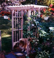 Photo 4